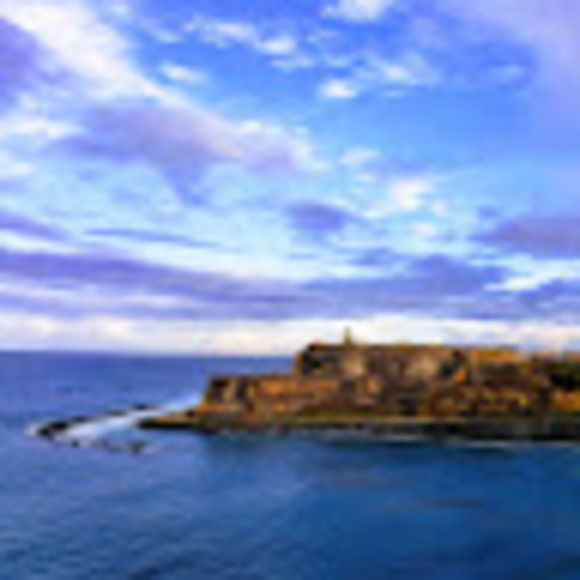 Meet your Posher, Mikkayla - Picture 1 of 1